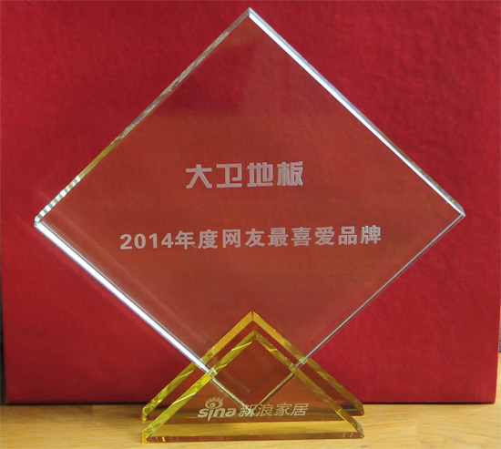 爱体育网页版登录界面-AITIYU（中国）地板被授予“2014年度网友最喜爱品牌”殊荣.jpg