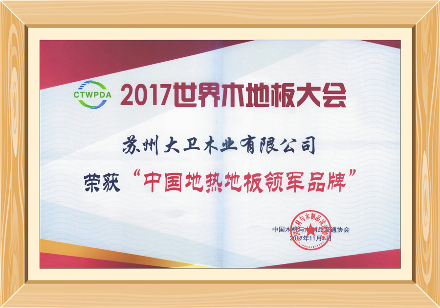 爱体育网页版登录界面-AITIYU（中国）地板荣获“中国地热地板领军品牌”0.jpg